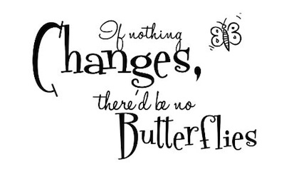 if-nothing-changes-therd-be-no-butterflies